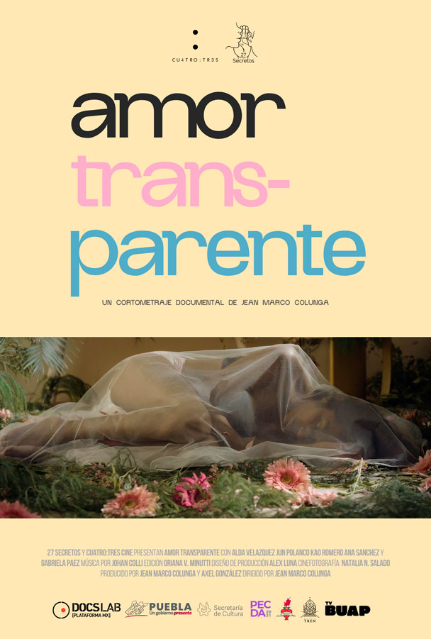 Amor TransParente