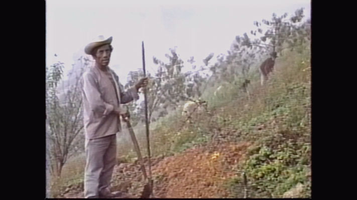 Bene wen llin yixe. Personas que trabajan en el campo