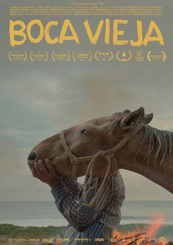 Boca Vieja