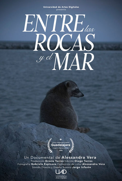 Entre las rocas y el mar